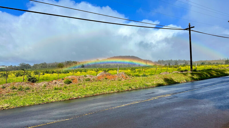 Send your best photos from Maui County to mauiphotos@mauinews.com for a chance to see them featured on our website and in our weekly print edition.
